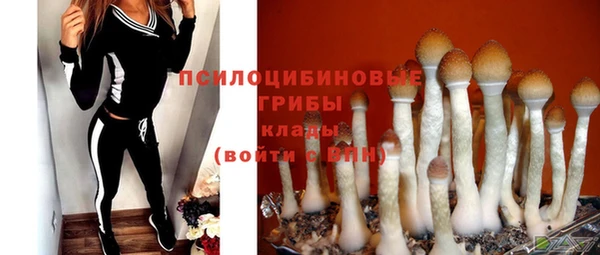 ГАЛЛЮЦИНОГЕННЫЕ ГРИБЫ Абинск