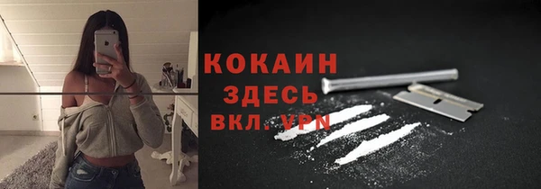мяу мяу мука Алзамай