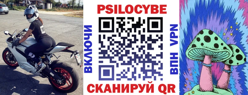 дарнет шоп  Северская  Галлюциногенные грибы Psilocybine cubensis 